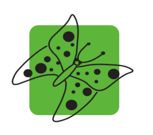 Schmetterlingraum