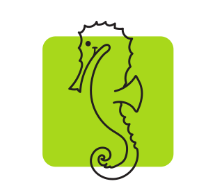 Seepferdchenraum